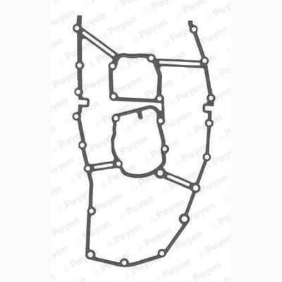 PAYEN JR5046 Timing Case Gasket
