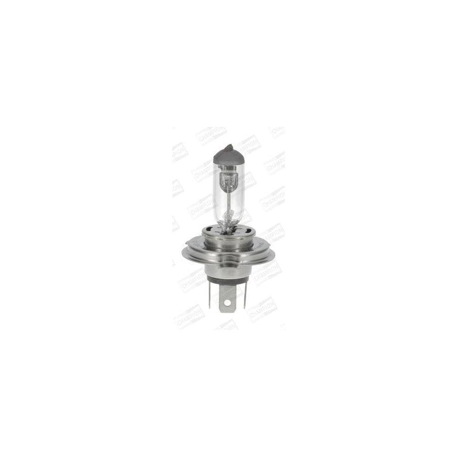 Champion Version Standard Cbh31S Bulb, Spotlight