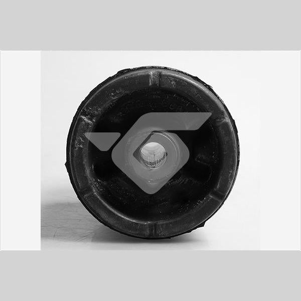 HUTCHINSON HU590245 Axle Beam Bushing