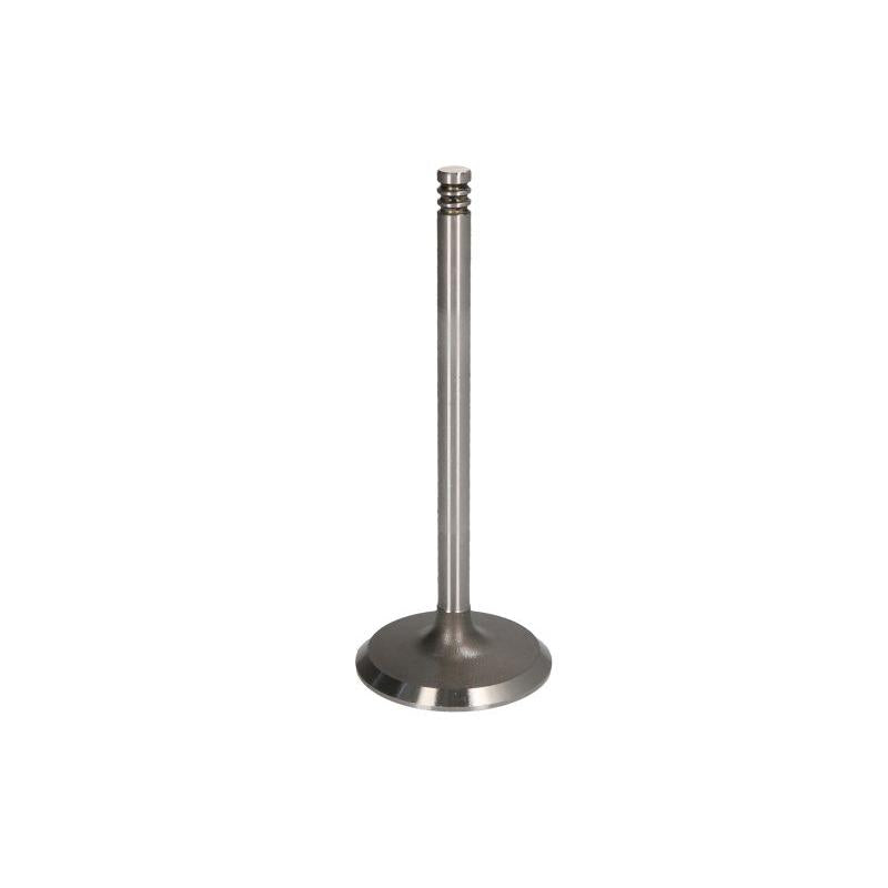 DNJ IV1122 Intake Valve