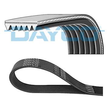 DAYCO DAY6PK1115HD V-Ribbed Belt