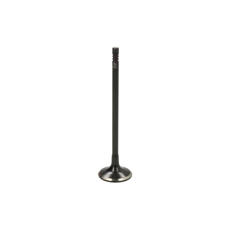DNJ IV1174 Intake Valve