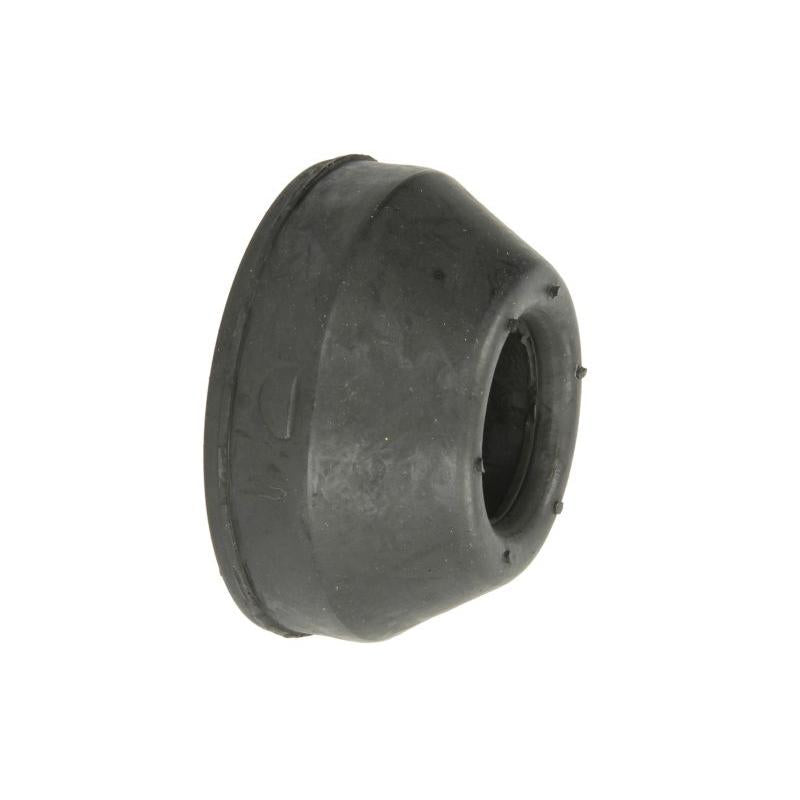 REINHOCH RH18-0000 Control/Trailing Arm Mounting