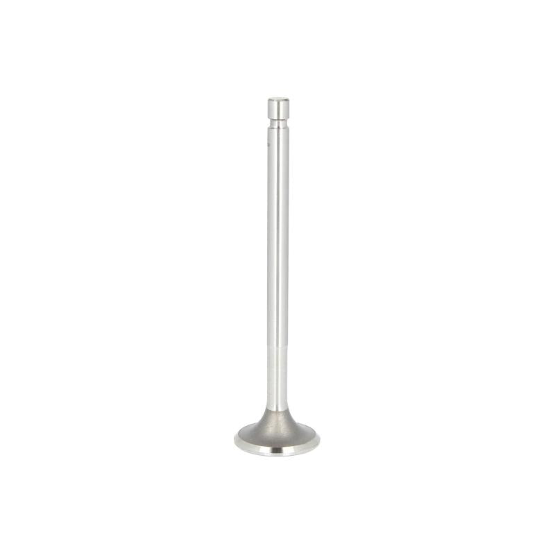 PARADOWSCY PURS009 Exhaust Valve