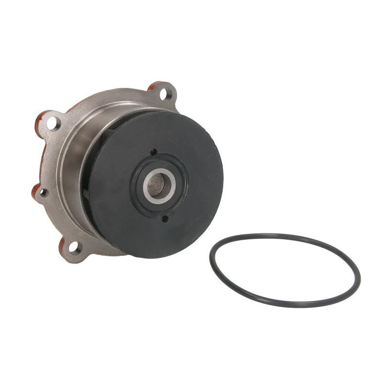 DOLZ DOLZD301 Water Pump