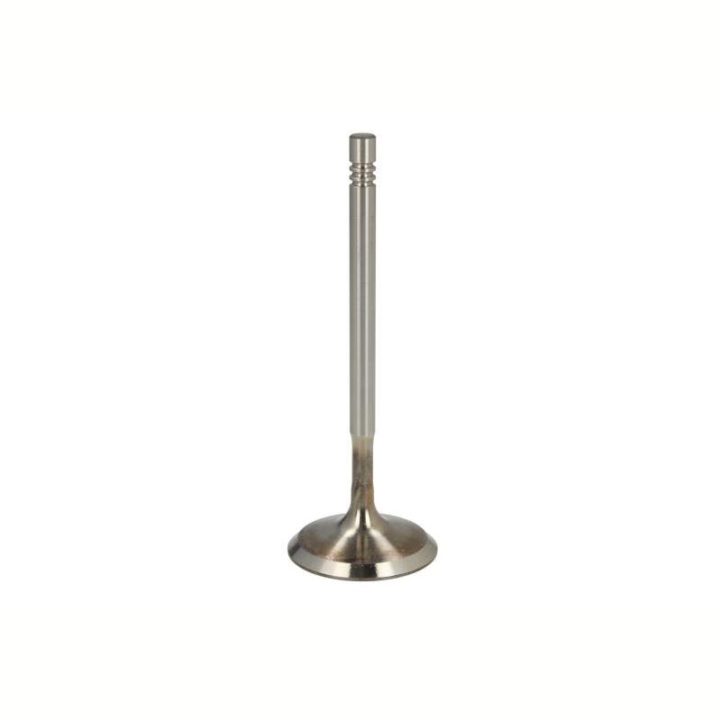 NE 147050002300 Intake Valve