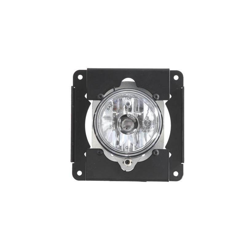 OE INDUSTRY OEI131000890 Fog Light Insert