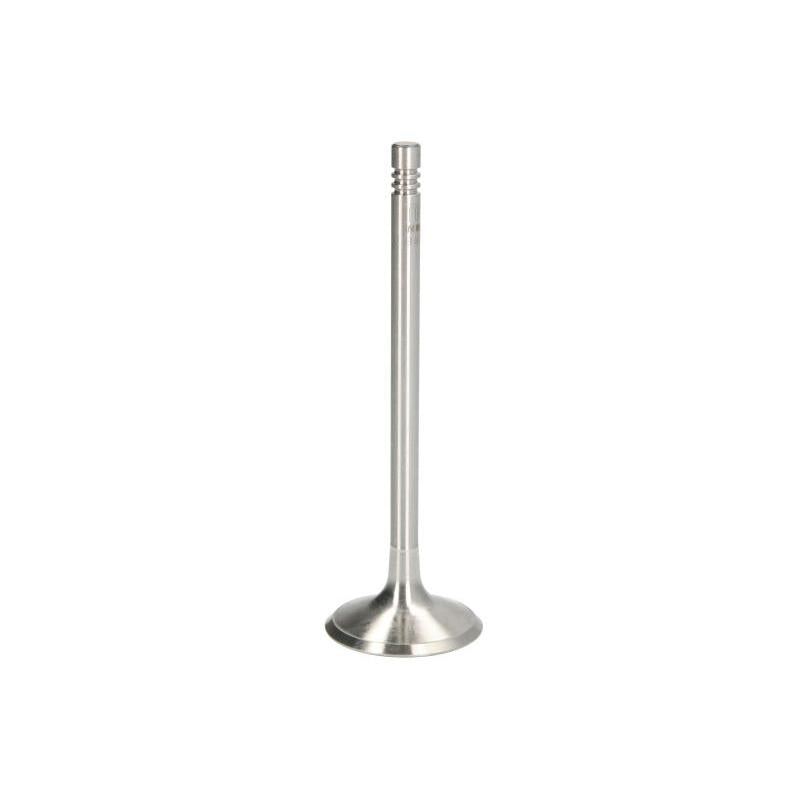 NE 147050002600 Intake Valve