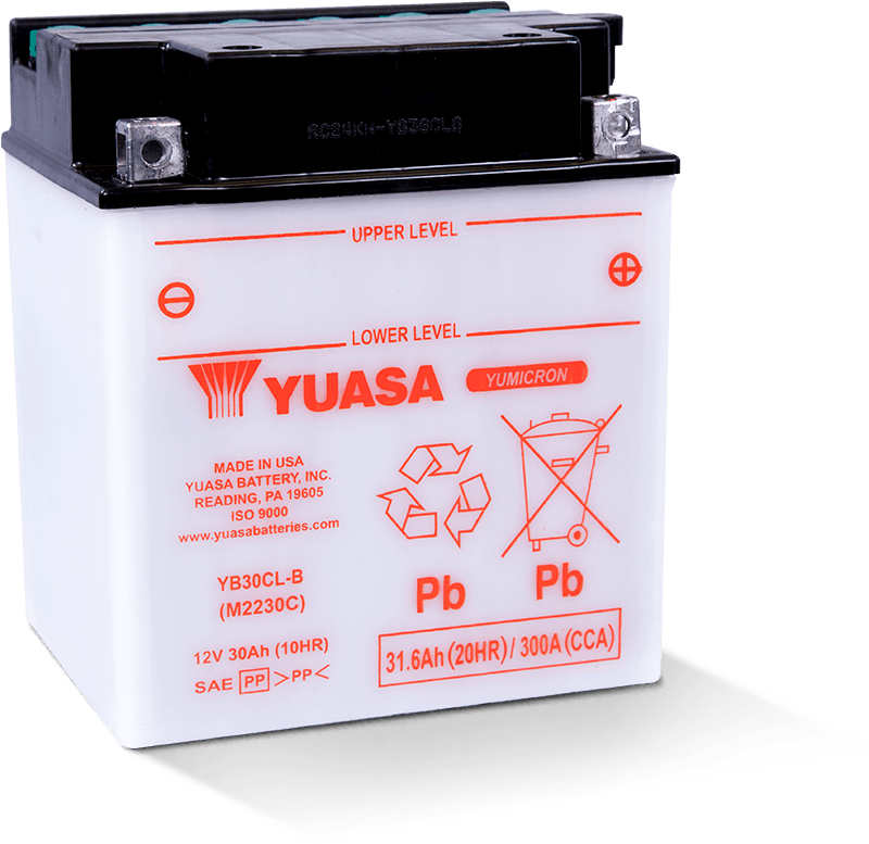 Yuasa Battery Yuasa YB30CL-B Yumicron CX 12-Volt Battery