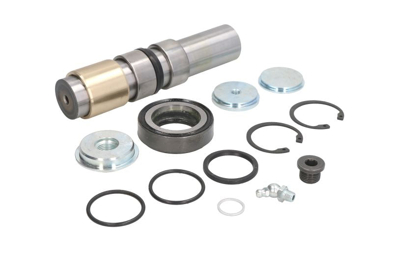 C.E.I 230139 Kingpin Repair Kit