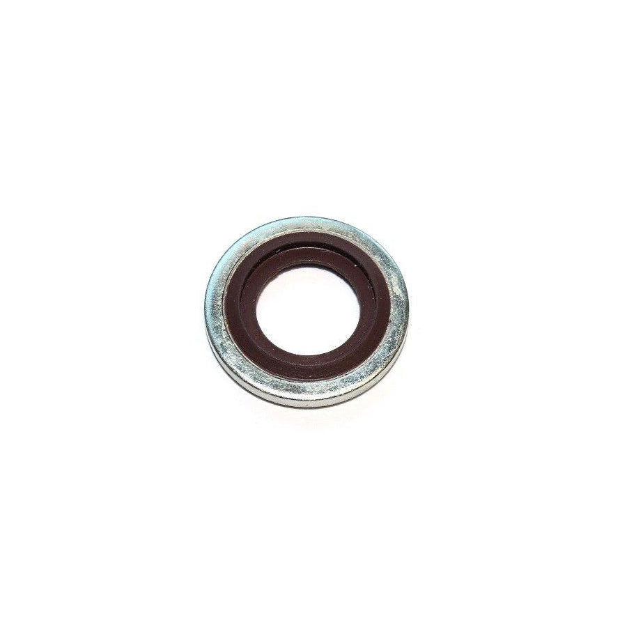 Elring 153.300 Seal Ring | ML Performance US Car Parts
