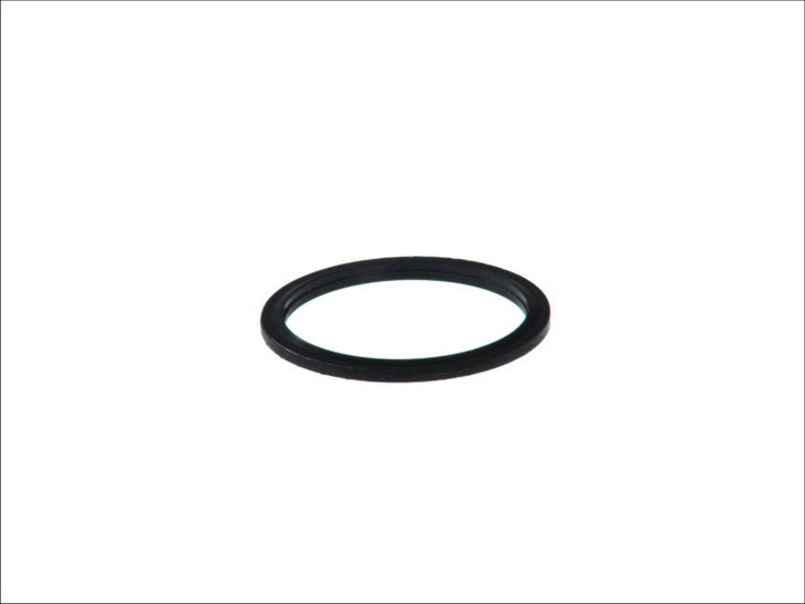DT SPARE PARTS 1.16064 Oil Sump Gasket