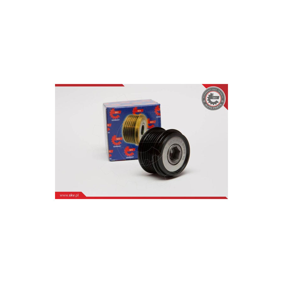 Esen Skv 11SKV061 Alternator Freewheel Clutch