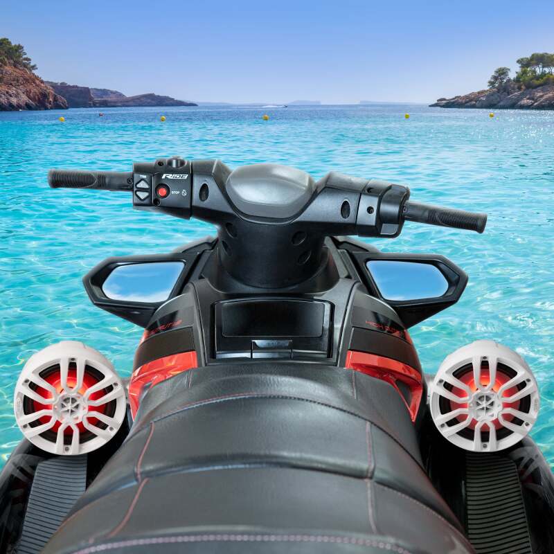 DS18 Marine And Psports Compact Towers Flat And Pole Mount 6.5in 100 Watts RMS RGB LED Lights Black