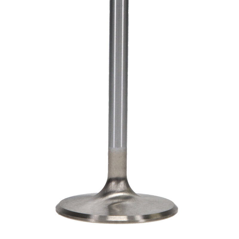 Manley Performance Manley 99-12 Ford V8 4.6L/281 5.4/330 45.5mm Race Series Stainless Steel Intake Valves (Set of 8)