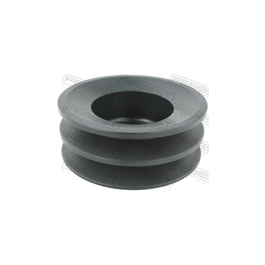 Febest Tds-Uzj100 Pulley, Alternator