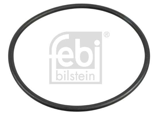 Febi Bilstein 174689 Seal, Wheel Hub