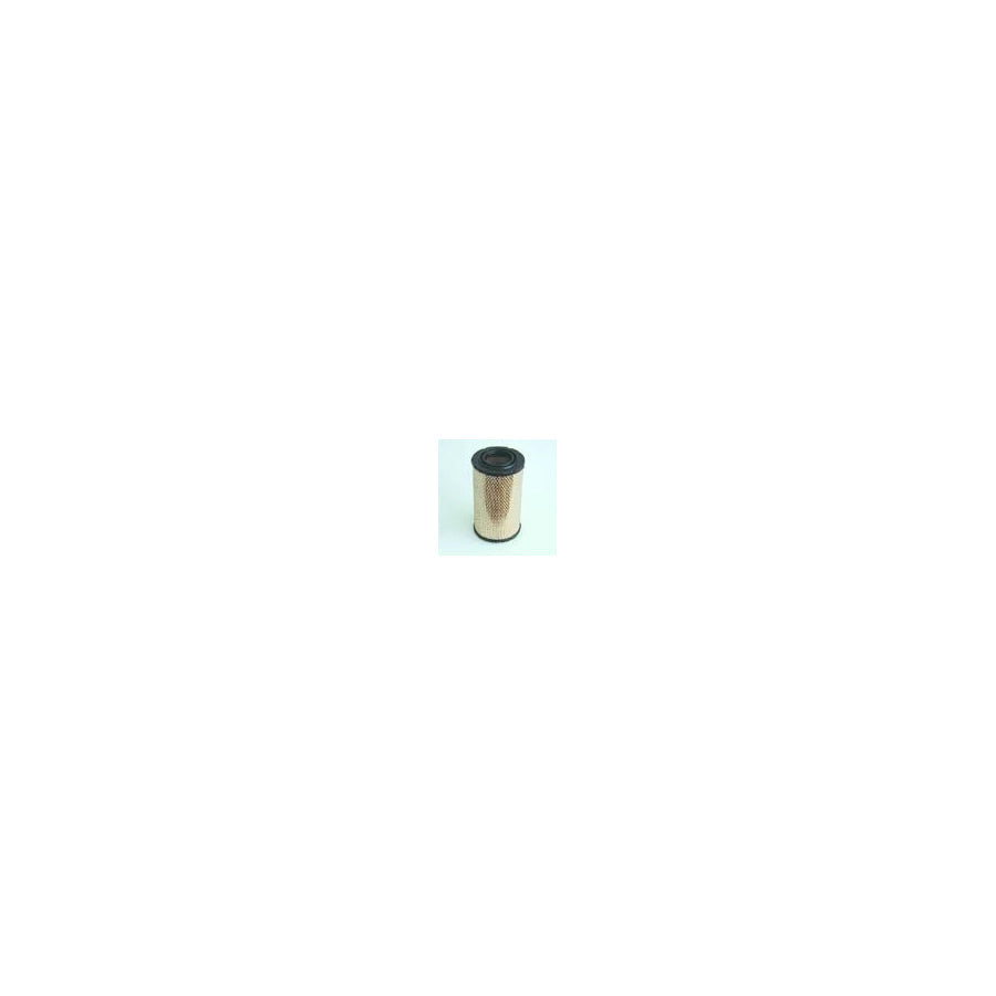Fleetguard Af25296 Air Filter