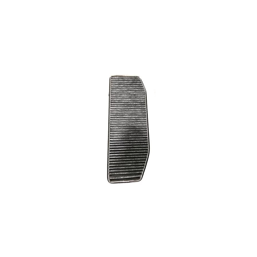 Fleetguard Af27951 Pollen Filter