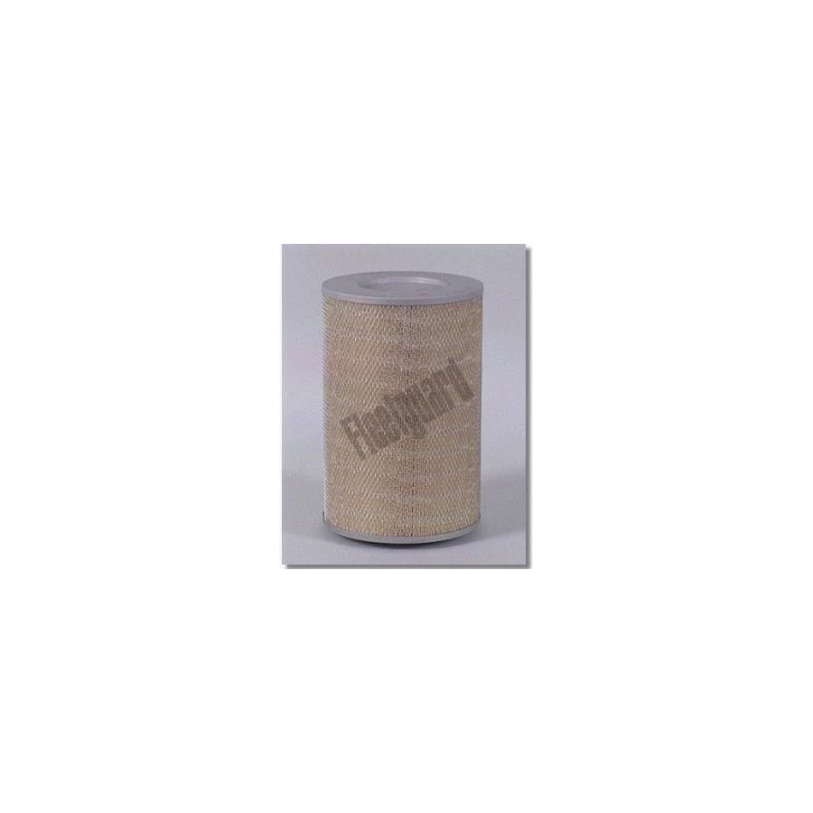 Fleetguard Af4968 Air Filter