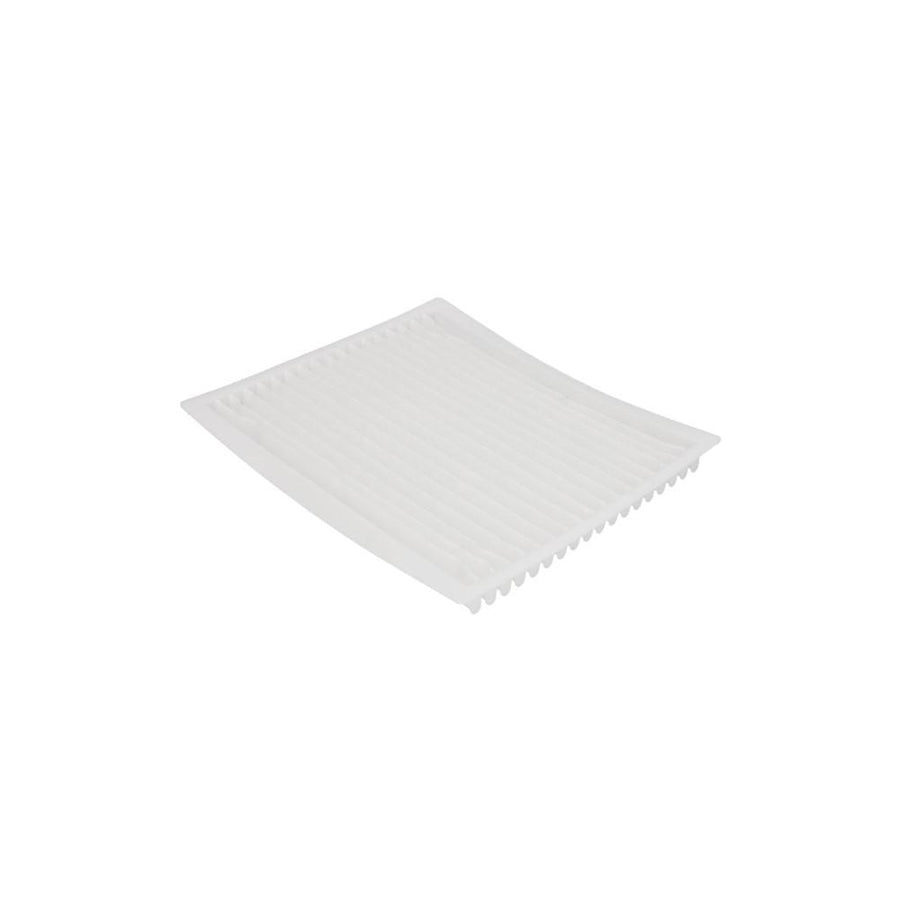 Fleetguard AF55749 Pollen Filter
