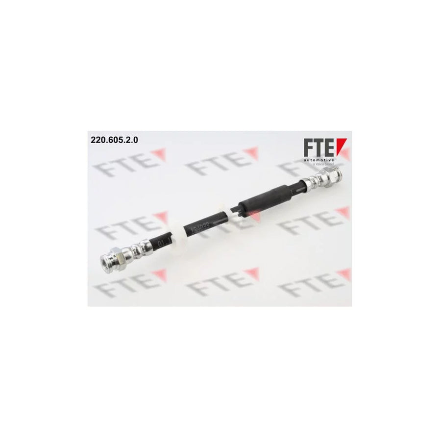 FTE 220.605.2.0 Brake Hose