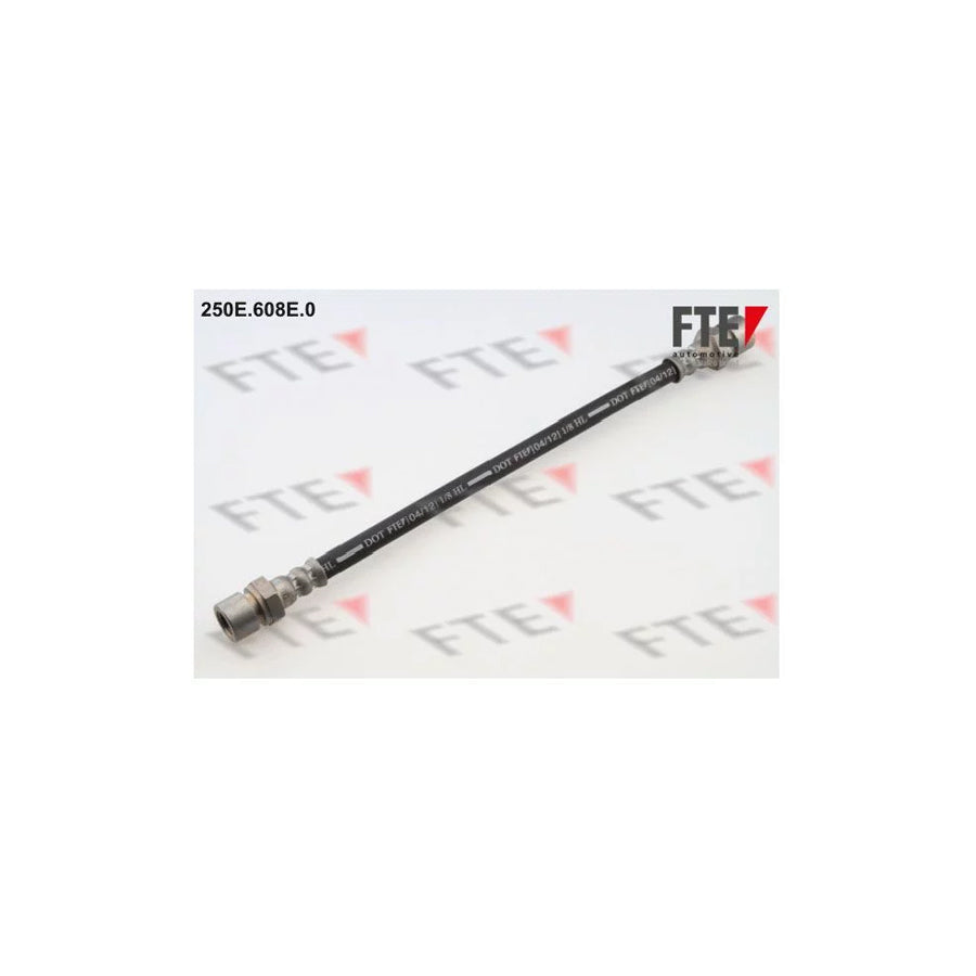 FTE 250E.608E.0 Brake Hose