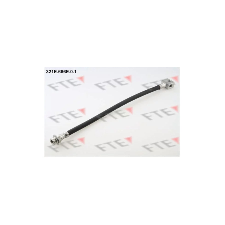 FTE 321E.666E.0.1 Brake Hose