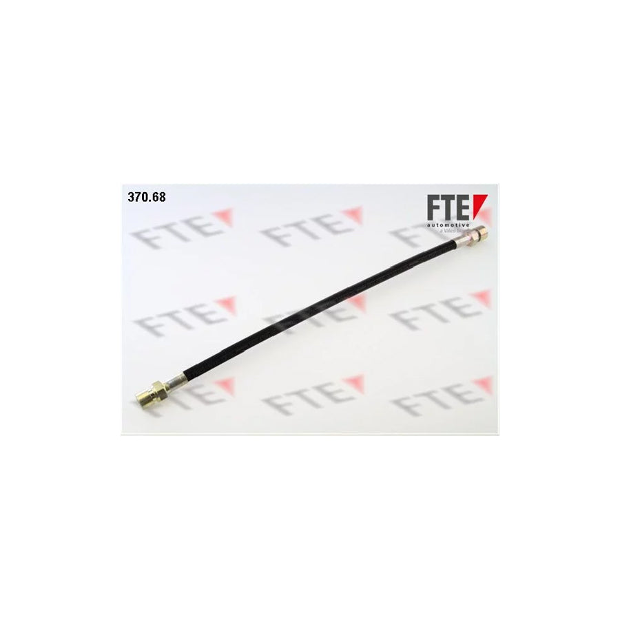 FTE 370.68 Brake Hose
