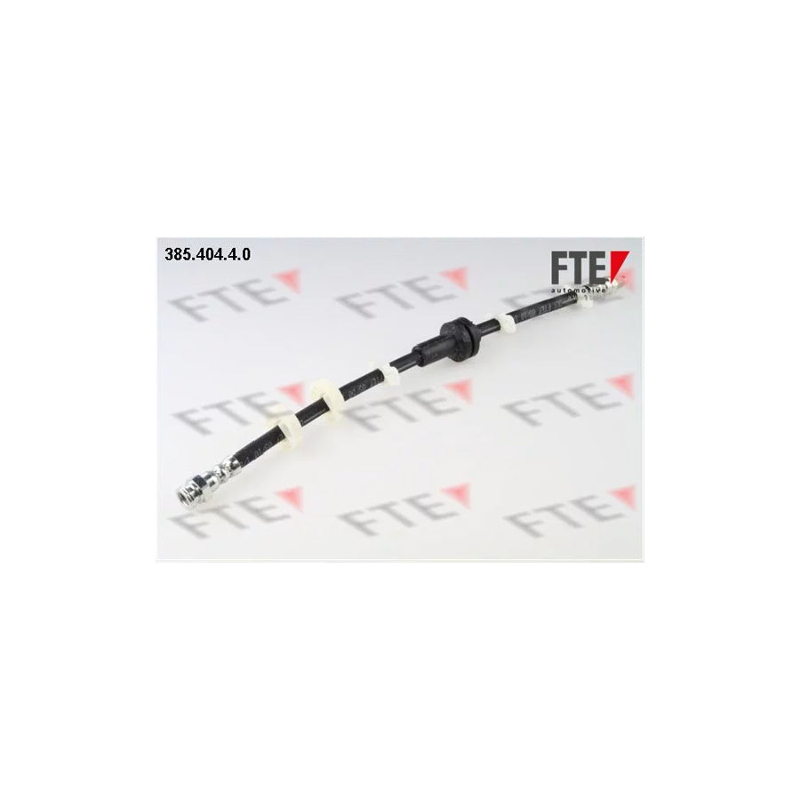 FTE 385.404.4.0 Brake Hose