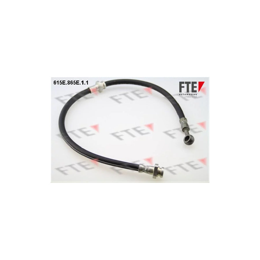 FTE 615E.865E.1.1 Brake Hose for Nissan Almera Tino (V10)