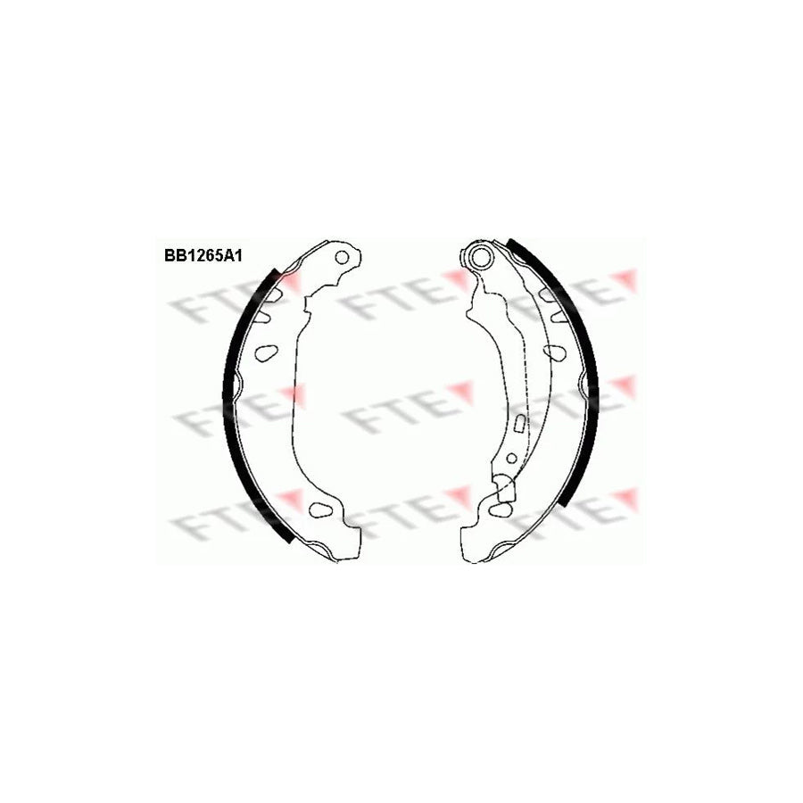 FTE 9100057 Brake Shoe Set for Peugeot 206