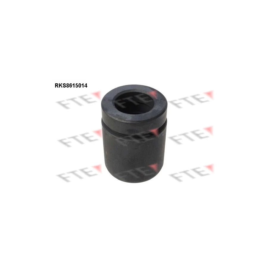 FTE 9313007 Piston, Brake Caliper
