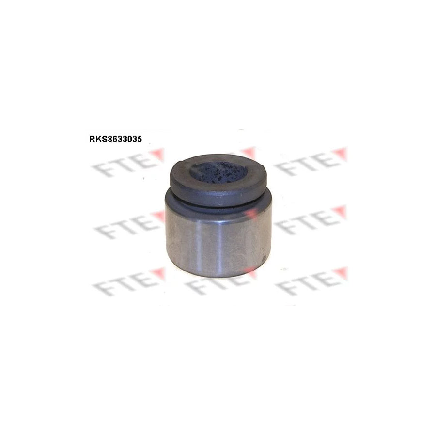 FTE 9313042 Piston, Brake Caliper