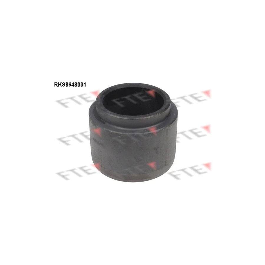FTE 9313084 Piston, Brake Caliper
