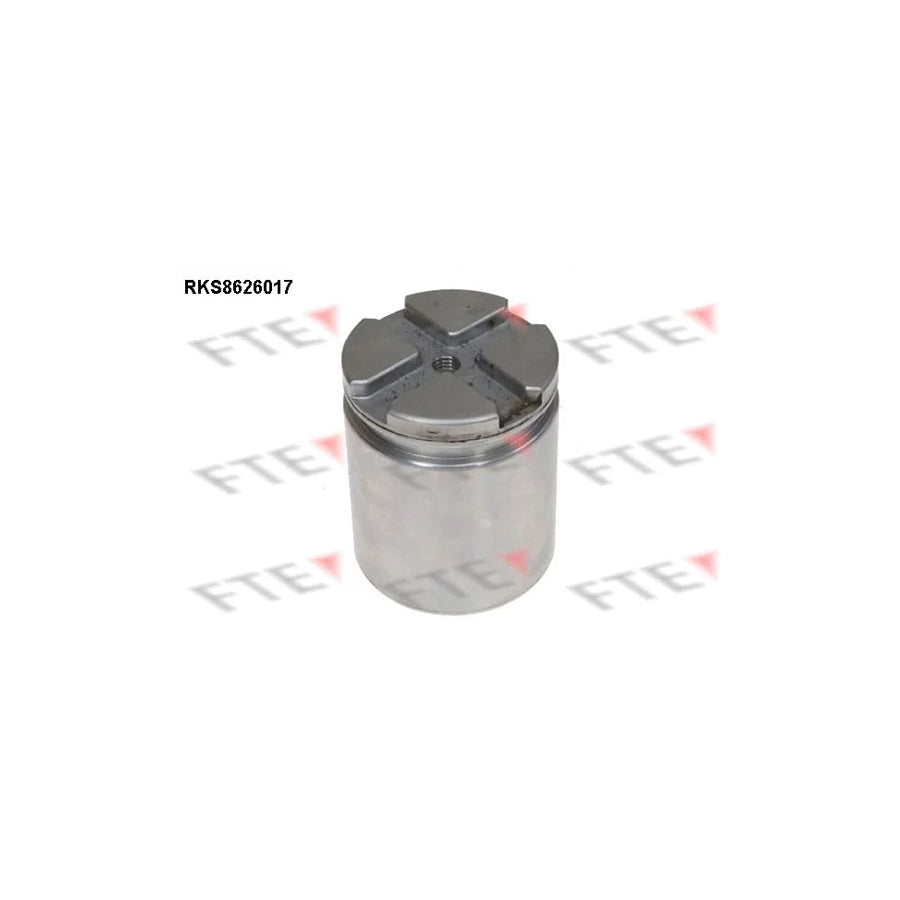 FTE 9313238 Piston, Brake Caliper
