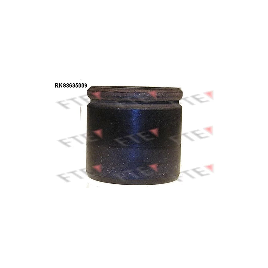 FTE 9313317 Piston, Brake Caliper for KIA Sportage I (K00, Ja)