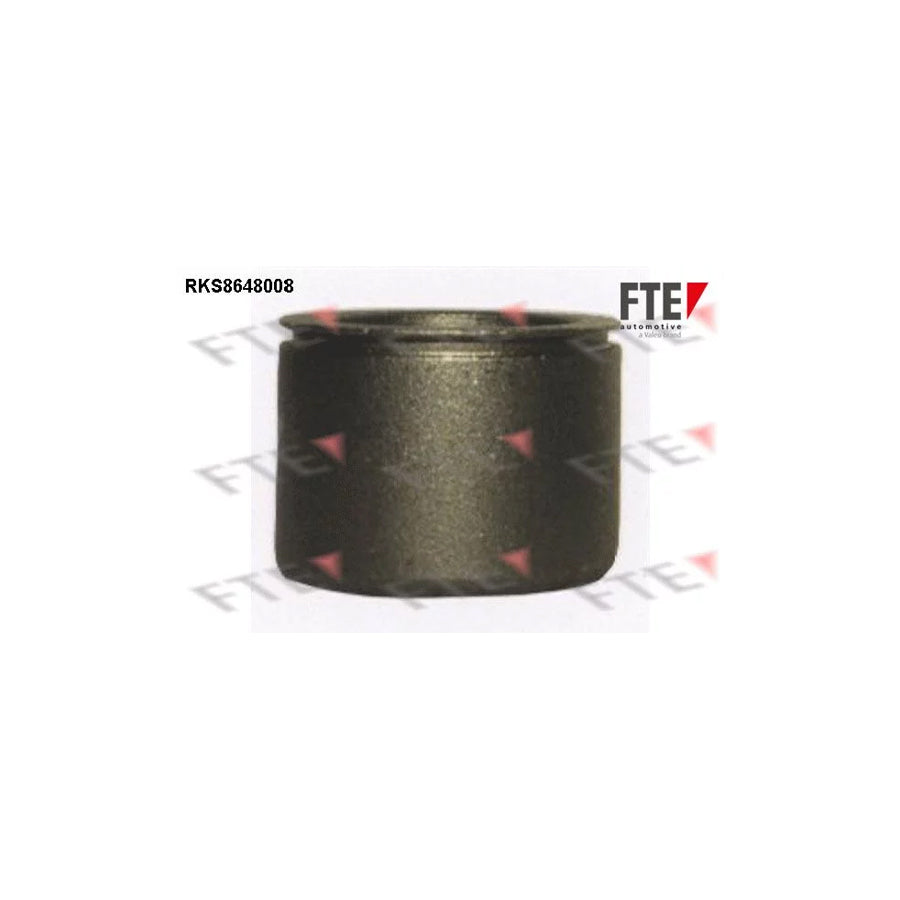 FTE 9313444 Piston, Brake Caliper