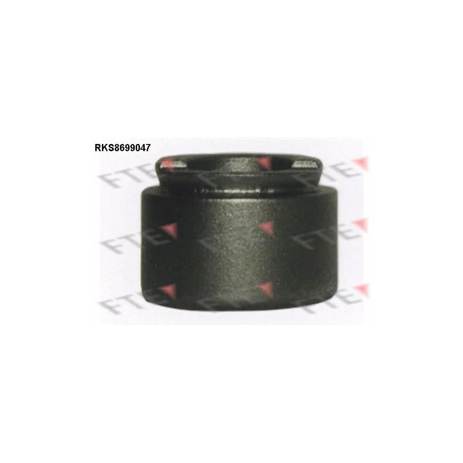 FTE 9313501 Piston, Brake Caliper