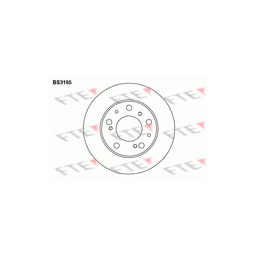 FTE Bs3195 Brake Disc