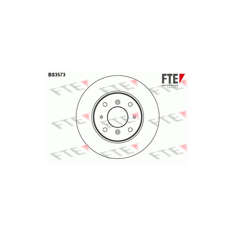FTE Bs3573 Brake Disc