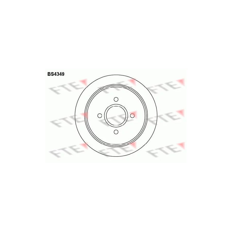 FTE Bs4349 Brake Disc