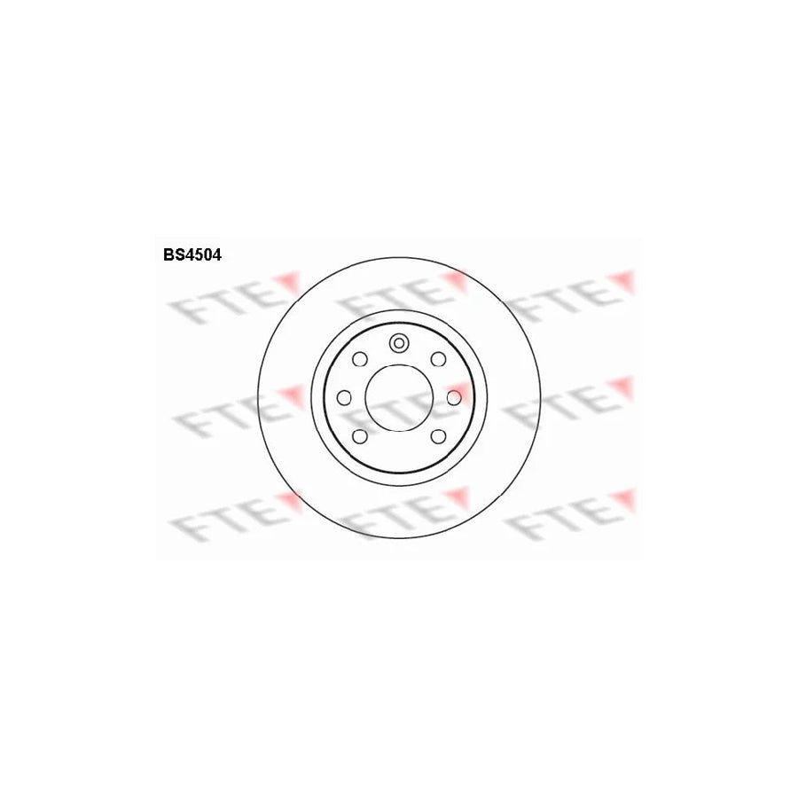 FTE Bs4504 Brake Disc