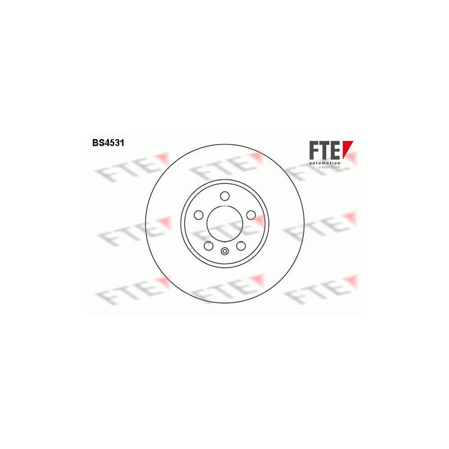 FTE Bs4531 Brake Disc