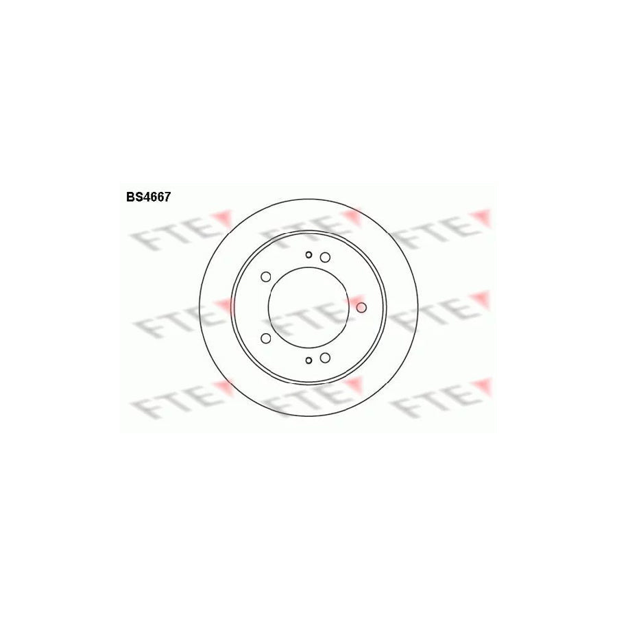FTE Bs4667 Brake Disc