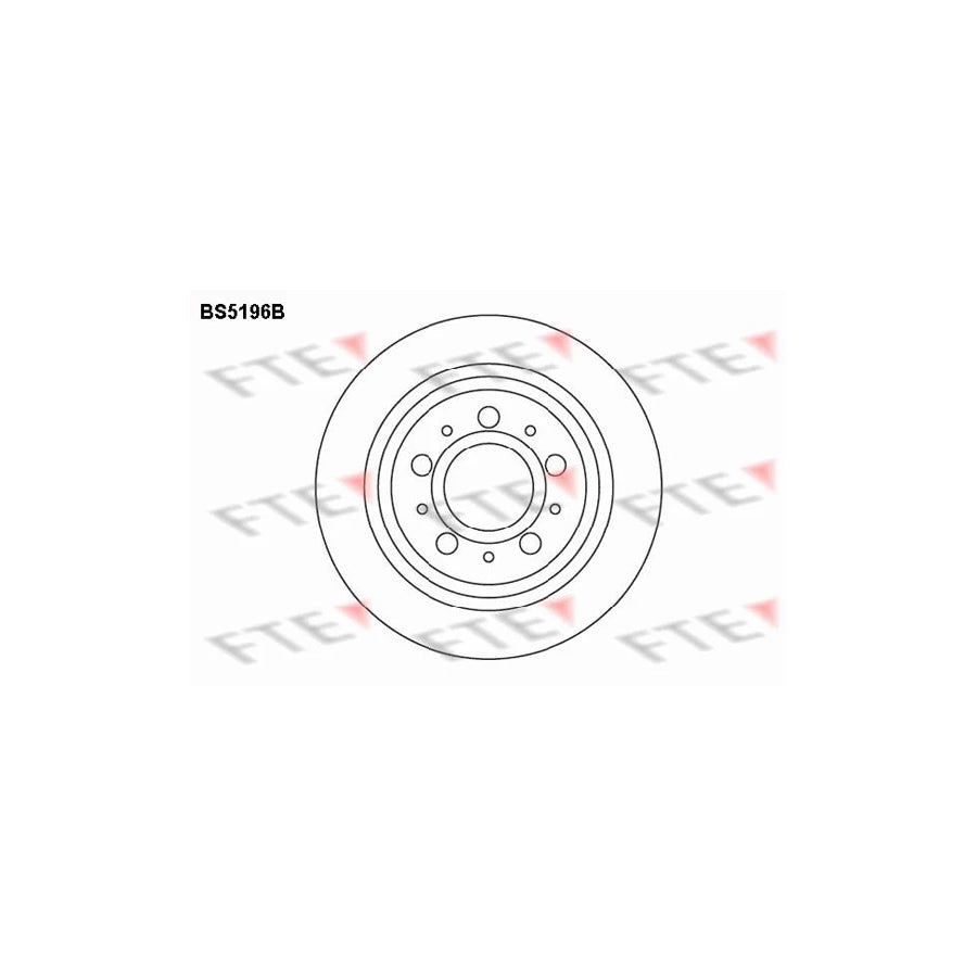 FTE Bs5196B Brake Disc