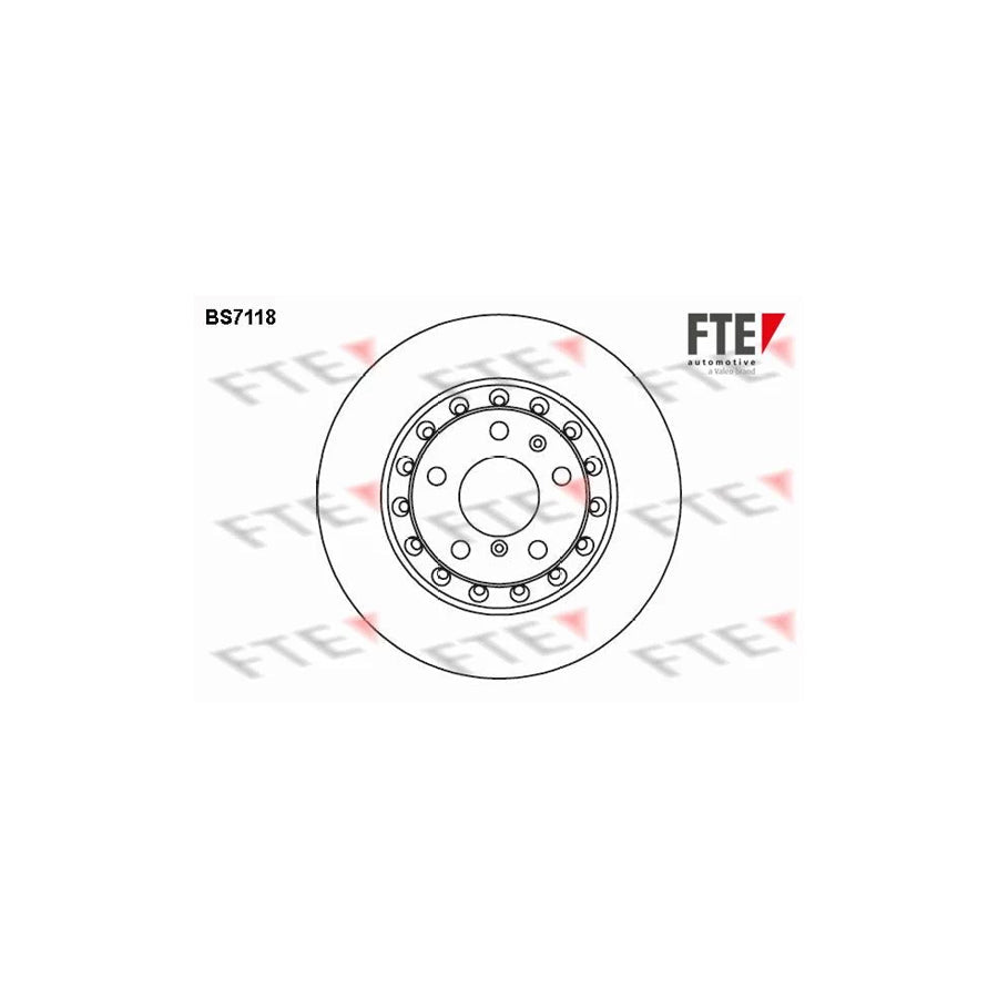FTE Bs7118 Brake Disc
