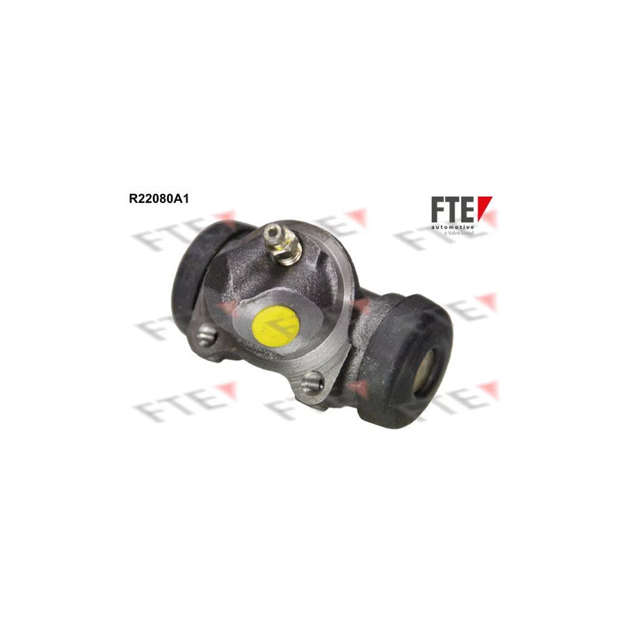 FTE R22080A1 Wheel Brake Cylinder