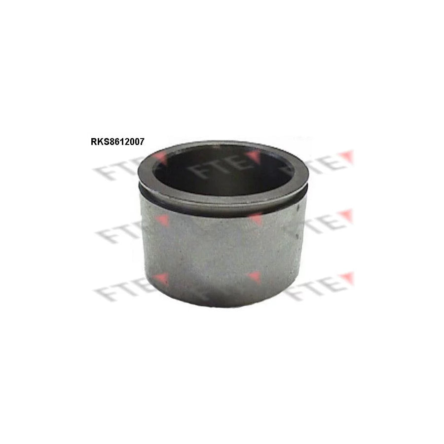 FTE Rks8612007 Piston, Brake Caliper
