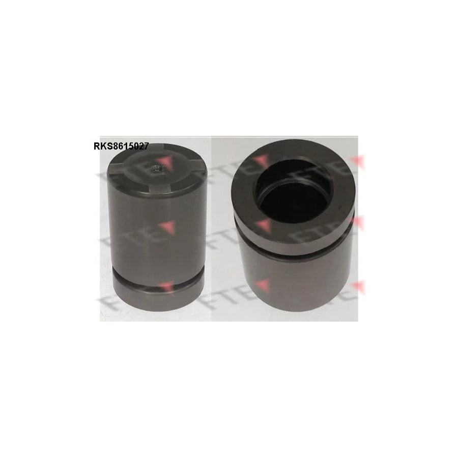 FTE Rks8615027 Piston, Brake Caliper